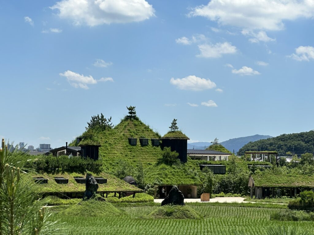 滋賀県にあるラコリーナ、夏の時にとてもきれいな色をしています。