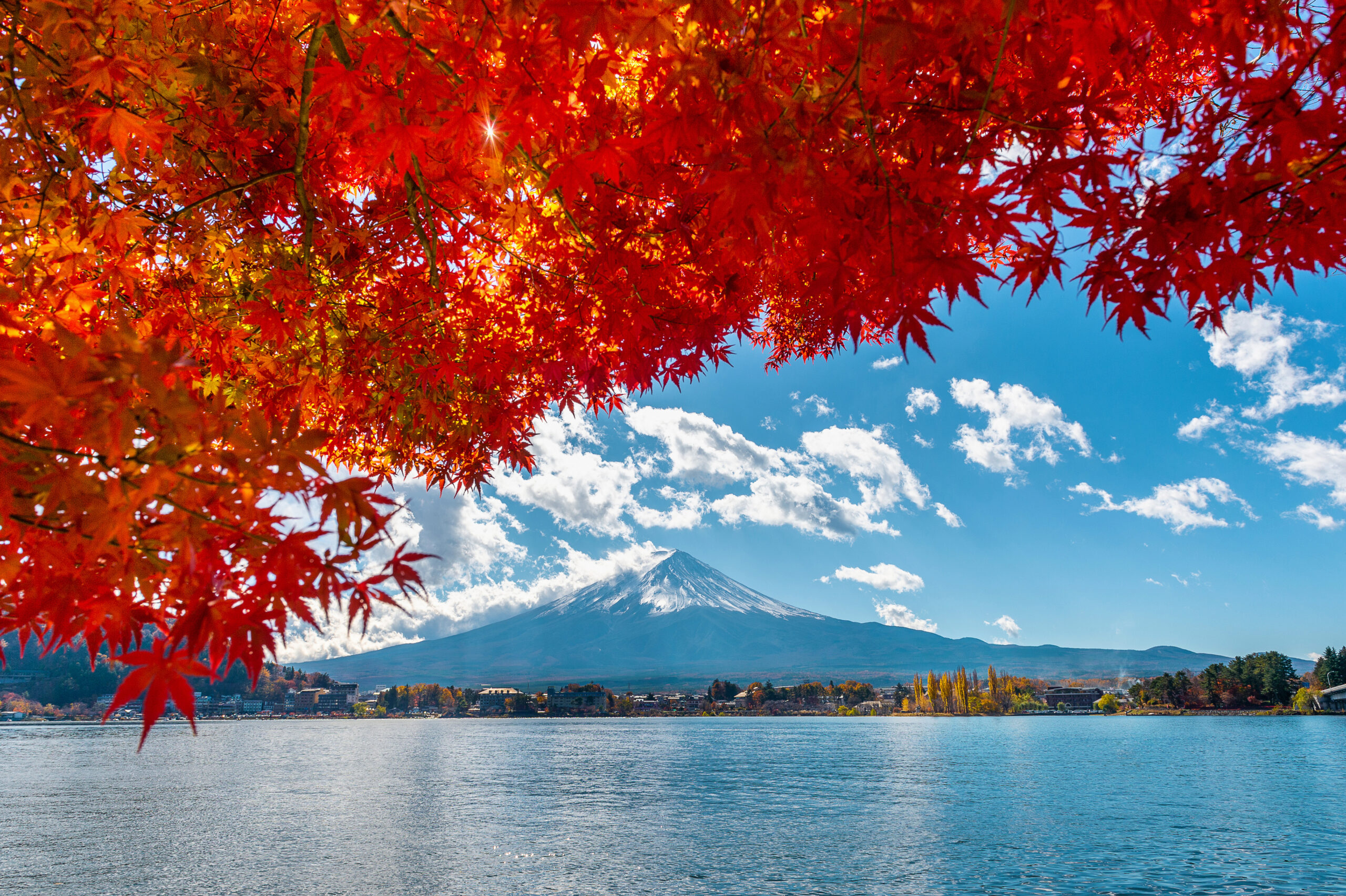 富士山の秋の景色。